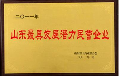 山东最具发展潜力民营企业