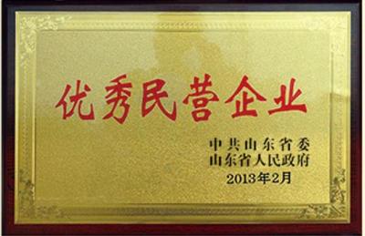 优秀民营企业